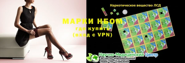 гашик Новокубанск