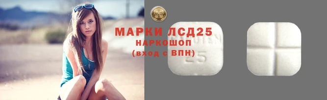 гашик Новокубанск