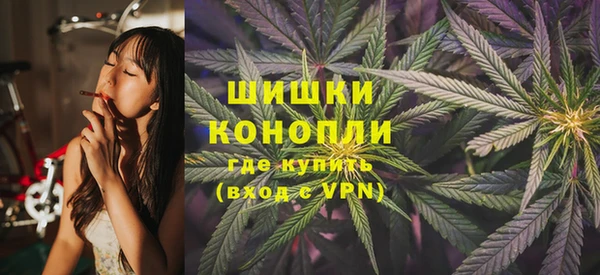 гашик Новокубанск