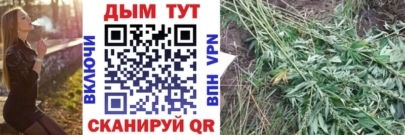 цена наркотик  Уварово  Канабис VHQ 